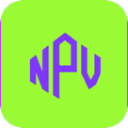 npvVPN免费版